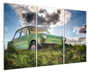 Obraz zeleného auta v tráve (Obraz 120x80cm)