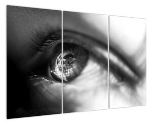Čiernobiely obraz - detail oka (Obraz 120x80cm)