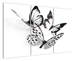 Obraz motýľov (Obraz 120x80cm)