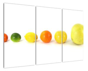Obraz - ovocie (Obraz 120x80cm)