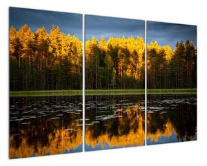 Obraz - jesenná krajina (Obraz 120x80cm)