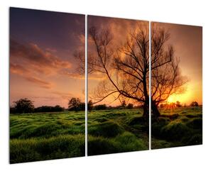 Západ slnka, obrazy (Obraz 120x80cm)