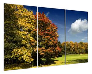 Jesenná krajina, obraz (Obraz 120x80cm)