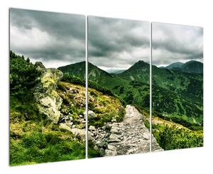 Horská cesta - obraz na stenu (Obraz 120x80cm)