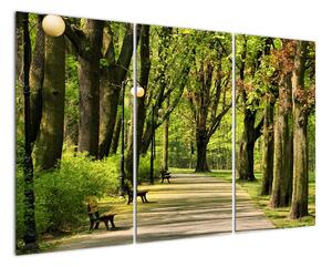 Cesta v parku - obraz (Obraz 120x80cm)