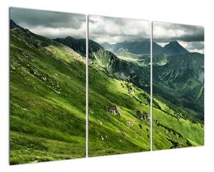 Pohorie hôr - obraz na stenu (Obraz 120x80cm)