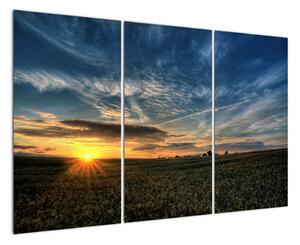 Západ slnka na poli - moderný obraz (Obraz 120x80cm)