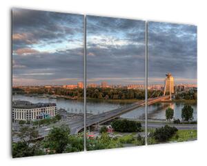 Pohľad na mesto - obraz (Obraz 120x80cm)