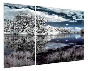 Zimná krajina - obraz (Obraz 120x80cm)