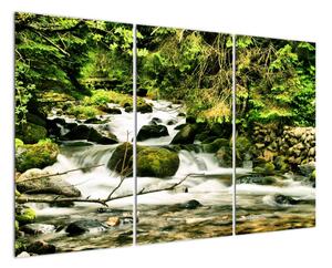 Obraz rieky (Obraz 120x80cm)