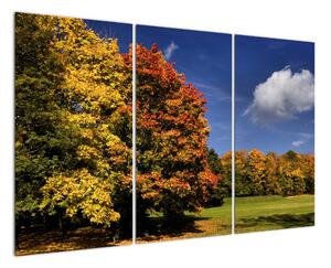 Jesenné stromy - moderný obraz (Obraz 120x80cm)