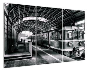 Obraz vlakovej stanice (Obraz 120x80cm)