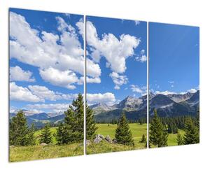 Fotka hôr - obraz (Obraz 120x80cm)