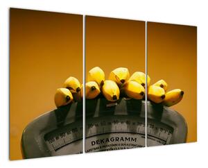 Banány na váhe - obraz na stenu (Obraz 120x80cm)