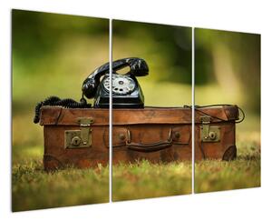 Telefón na kufri - obraz (Obraz 120x80cm)