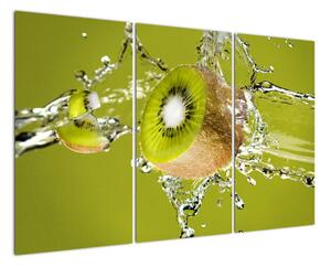Kiwi - obraz (Obraz 120x80cm)