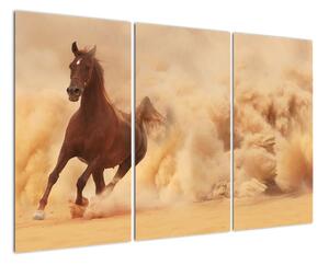 Cválajúci kôň - obraz (Obraz 120x80cm)