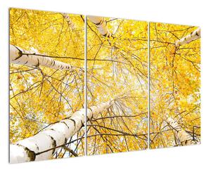 Jesenné lístie - moderný obraz (Obraz 120x80cm)
