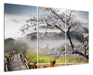 Sakura - obraz (Obraz 120x80cm)