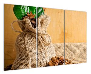Fotka kávových zŕn a škorica - obraz (Obraz 120x80cm)
