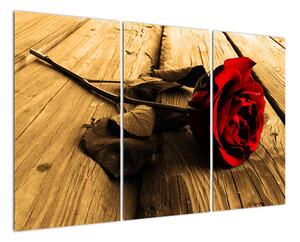 Obraz ruže (Obraz 120x80cm)