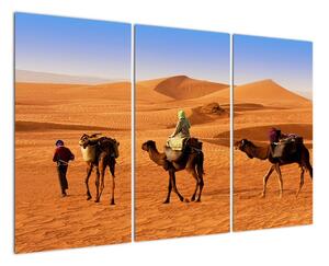 Ťavy v púšti - obraz (Obraz 120x80cm)