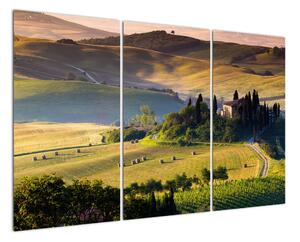 Panorama prírody - obraz (Obraz 120x80cm)
