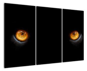 Zvieracie oči - obraz (Obraz 120x80cm)