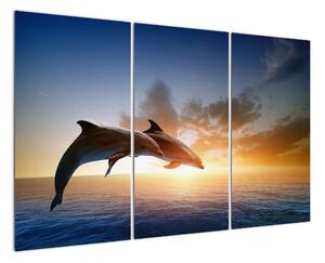 Delfíny - obraz (Obraz 120x80cm)