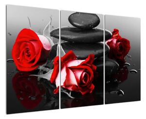 Obraz ruží (Obraz 120x80cm)