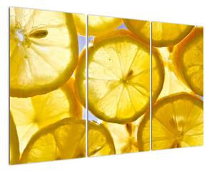 Plátky citrónov - obraz (Obraz 120x80cm)