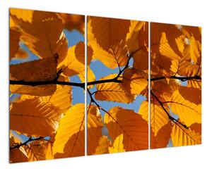 Jesenné lístie - obraz (Obraz 120x80cm)