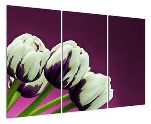 Makro tulipánov - obraz (Obraz 120x80cm)