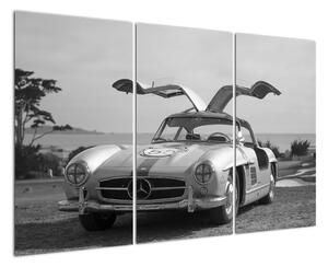 Mercedes-Benz 300SL - moderný obraz (Obraz 120x80cm)