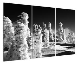 Obraz - zimné hory (Obraz 120x80cm)