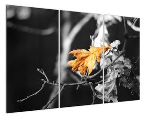 Obraz - prichádzajúce jeseň (Obraz 120x80cm)