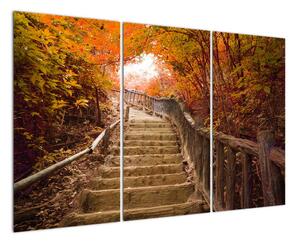 Obraz - schody (Obraz 120x80cm)