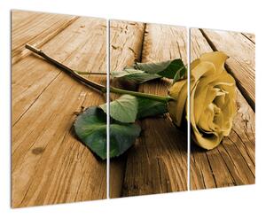 Obrazy kvetov - ruža (Obraz 120x80cm)