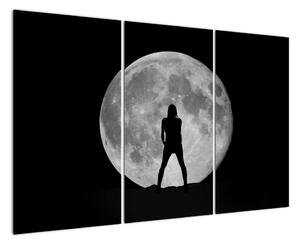 Silueta ženy, obraz (Obraz 120x80cm)
