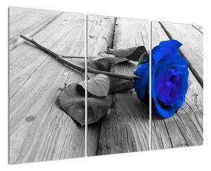 Obraz ruže (Obraz 120x80cm)