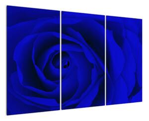 Detail modré ruže - obraz (Obraz 120x80cm)