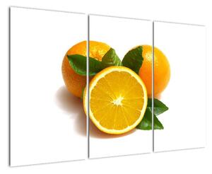 Pomaranče - obraz (Obraz 120x80cm)