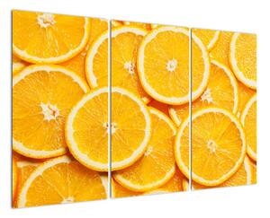 Plátky pomarančov - obraz (Obraz 120x80cm)