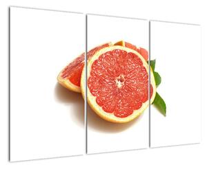 Grapefruit - obraz (Obraz 120x80cm)