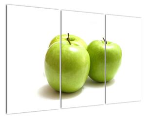 Jablká - obraz (Obraz 120x80cm)