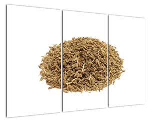 Pšenica, obraz (Obraz 120x80cm)