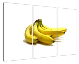 Banány - obraz (Obraz 120x80cm)
