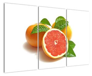 Grapefruit, obraz (Obraz 120x80cm)
