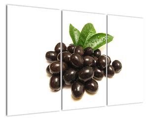 Olivy, obraz (Obraz 120x80cm)
