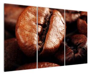 Kávové zrno, obrazy (Obraz 120x80cm)
